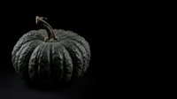 Textured dark gray pumpkin with stem isolated on black background, suitable for autumn designs, Halloween graphics, and seasonal marketing materials.