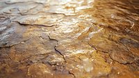 Cracked golden rock surface with rough texture and natural patterns in sunlight, showing mineral deposits and geological formations. Natural stone background.