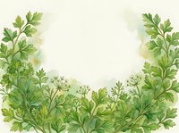 Watercolor herb garden border with parsley, dill, and fresh green foliage on cream background, isolated design element for culinary, wellness, and organic product packaging layouts.