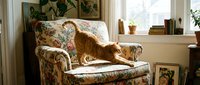 Ginger cat stretching on floral upholstered armchair by window in cozy home interior with plants and natural light.