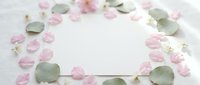 Delicate pink rose petals and eucalyptus leaves frame blank card on white background for wedding invitations, romantic messages or spring celebrations.