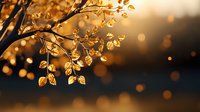 Delicate tree branches with golden leaves backlit by warm sunset light creating magical bokeh effect in background, natural autumn scenery at dusk.