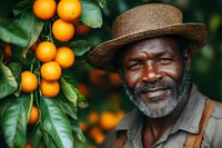 Mature African American farmer with gray beard and straw hat smiling while harvesting fresh oranges in citrus grove. Natural lighting highlights authentic farming moment.