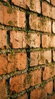 Old weathered brick wall with green moss growing between mortar joints creating natural texture and rustic architectural detail for construction backgrounds.