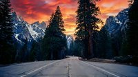 Straight asphalt road stretching through towering evergreen forest with snow-covered mountain peaks under dramatic fiery sunset sky, travel and nature scenery.