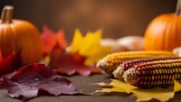 Autumn harvest display with orange pumpkins, colorful maple leaves and Indian corn on rustic wooden surface for seasonal decorating and thanksgiving.