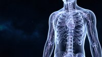 Transparent human skeleton and nervous system displayed in glowing blue X-ray style visualization against dark background, suitable for medical education, healthcare presentations, anatomy learning materials.