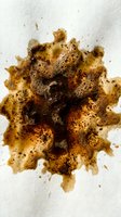 Organic coffee stain with irregular edges and granular texture on white paper background, suitable for design, texture, and artistic projects.