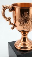 Elegant copper trophy cup with ornate floral engravings and decorative handle on marble base for awards ceremonies and recognition events.