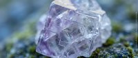 Purple fluorite crystal specimen with geometric cubic structure on natural moss surface for geology education and mineral collection displays.