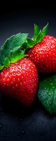 Fresh ripe strawberries with water drops and green leaves on dark background, macro shot showing detailed texture and vibrant colors. Suitable for food packaging.