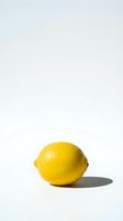 Fresh yellow lemon fruit isolated on white background with shadow, citrus ingredient for cooking, healthy nutrition and vitamin C source.