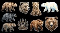 Grizzly bear, brown bear, polar bear, black bear, and paw print illustrations isolated on transparent background, ready for t-shirt design, clipart, stickers, sublimation, and print-on-demand products.