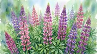 Watercolor lupine flowers in purple and pink hues with green foliage, botanical garden scene for spring and summer nature themes.