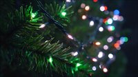 Close-up of Christmas tree branches with colorful string lights creating festive bokeh effect in dark background, perfect for holiday season designs.
