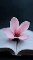 Delicate pink magnolia flower resting on open book pages against dark background, creating romantic and peaceful reading atmosphere.