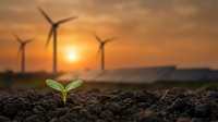 Young green plant sprout emerging from dark soil with wind turbines silhouetted against golden sunset sky, symbolizing renewable energy and sustainable growth.