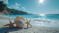 Seashells and starfish on sandy tropical beach with sparkling turquoise ocean waves, bright sun and coastal cliffs in background. Perfect for travel themes.