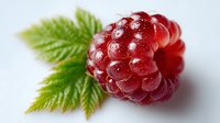 Fresh ripe red raspberry with green leaf covered in water droplets on white background, macro close up view for food photography and packaging design.
