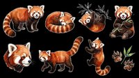 Red pandas in various poses isolated on transparent background, ready for t-shirt designs, clipart, stickers, sublimation, and print-on-demand products.