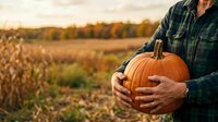 Farmer in plaid shirt holding orange pumpkin in autumn harvest field at sunset, ready for fall season and thanksgiving celebrations.