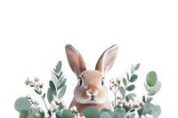 Adorable brown bunny rabbit peeking through eucalyptus leaves and delicate white flowers arrangement on white background, suitable for nursery art and spring designs.