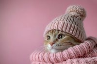 Ginger cat wearing pink knitted winter hat and scarf looking away on pink background. Close up portrait of cozy domestic pet in warm accessories.
