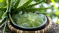 Fresh aloe vera gel with ice cubes in ceramic bowl on woven bamboo holder, natural green plant leaves background, skincare and wellness concept.