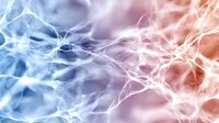 Glowing neural network visualization in blue and pink colors showing interconnected nodes and synapses on abstract background for science and technology concepts.