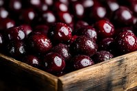 Fresh ripe cranberries with water droplets in rustic wooden box. Organic superfood berries for healthy cooking, baking and holiday recipes.