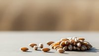 Mixed nuts and seeds scattered on white wooden surface with warm blurred background for healthy snacking and nutrition concepts.