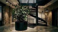 Modern industrial loft interior with spiral staircase, potted plant, and exposed brick walls, suitable for architecture and design projects.