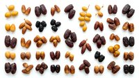 Assorted nuts and dried fruits arranged in organized rows on white background, including almonds, dates, and various legumes for culinary, nutritional, and food styling applications.