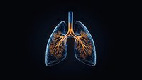 Glowing anatomical visualization of human lungs with bronchial tree structure highlighted in orange against dark background, showing detailed respiratory system anatomy.