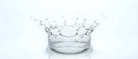 Water splash crown formation in clear liquid, isolated on white background for design, advertising, and beverage product concepts.