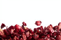 Dried cranberry pieces scattered along bottom border on white background, creating natural food border design for culinary and healthy eating concepts.