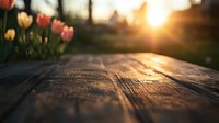 Rustic wooden surface with soft focus tulips in background during golden sunset hour, creating warm atmospheric spring garden scene with natural bokeh effect.