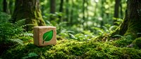 Wooden cube with green leaf symbol on moss in lush forest environment representing eco-friendly sustainability and natural conservation concepts.