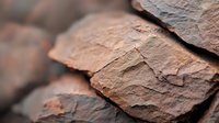 Layered brown rock formation showing natural texture and patterns in close-up view, highlighting geological strata and sedimentary details with selective focus.