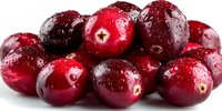 Fresh cranberries with water droplets on white background, showcasing vibrant red color and natural texture for food photography and culinary use.