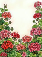 Watercolor geranium floral border with red and pink blooms, green leaves, and soft beige center space for text or design.