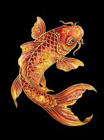 Ornamental koi fish with red and gold scales, isolated on transparent background, ready for t-shirt design, clipart, stickers, sublimation and print-on-demand products.