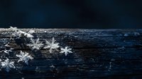 Delicate white snowflakes resting on dark wooden surface creating winter seasonal contrast with natural texture and crystalline ice formations.