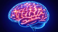 Glowing neon brain illustration with blue outline and pink internal neural network on dark background, showing detailed anatomical structure and neural connections.