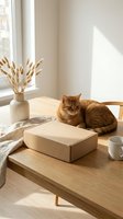 Ginger cat resting beside a kraft cardboard box on a wooden table in a bright minimalist home interior with dried pampas grass.