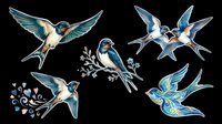 Swallows and swifts in flight, isolated on transparent background. Ready for t-shirt design, clipart, stickers, sublimation, and print-on-demand products.