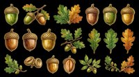 Acorns and oak leaves isolated on transparent background, ready for t-shirt design, clipart, stickers, sublimation, and print-on-demand projects.