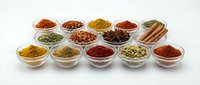 Colorful spices and herbs arranged in glass bowls on white background. Culinary ingredients including turmeric, paprika, cinnamon sticks for cooking recipes.