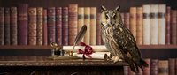 Wise owl perched on antique wooden desk with quill pen and scroll in classic library setting with vintage leather-bound books on shelves behind.