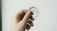Hand holding clump of fallen hair strands showing hair loss, thinning, alopecia or stress-related shedding for health and beauty care concepts.